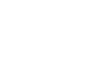 AR logo — official BOSJOKO gold-red lion live casino vendor