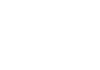 MIKI logo — official BOSJOKO gold-red lion live casino vendor